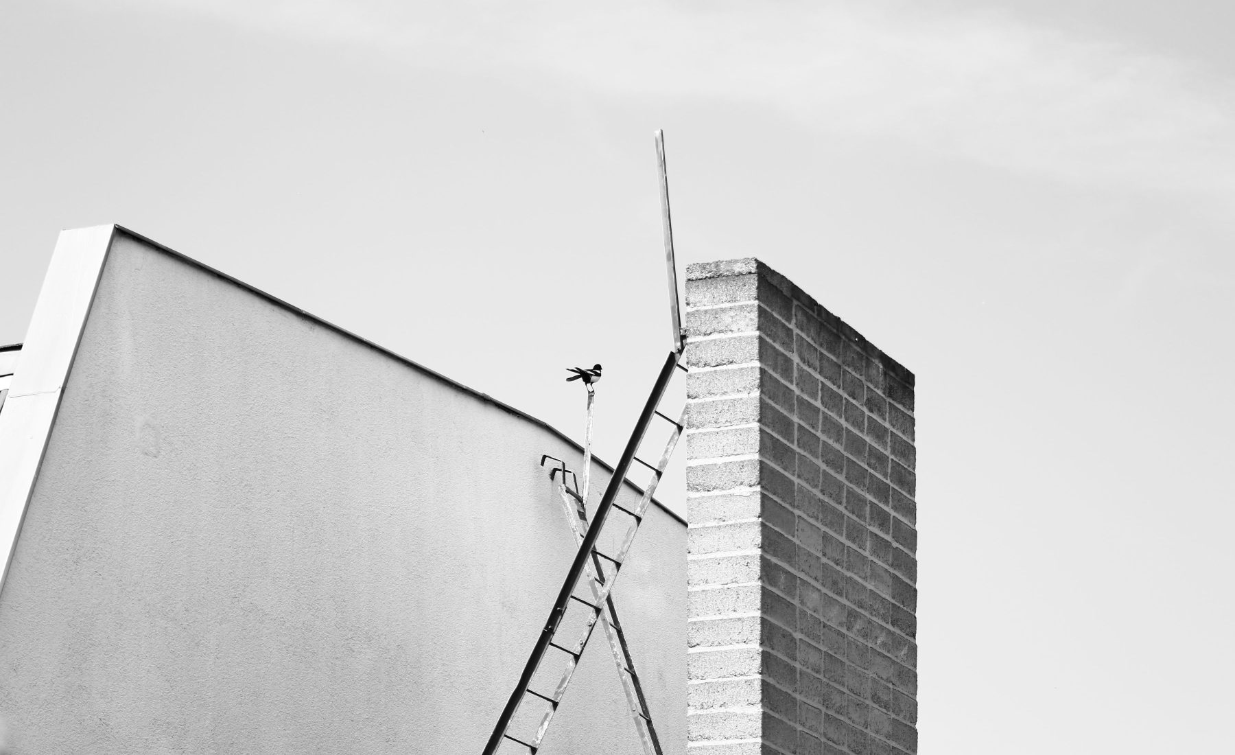 Dachdecker bei der Arbeit auf einem frisch gedeckten Ziegeldach